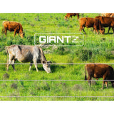 darrahopens Pet Care > Farm Supplies Giantz 2000M Polywire Roll Electric Fence Energiser Stainless Steel Poly Wire