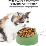 Darrahopens Pet Care > Pet Food Pet Dog Cat Food Bowl Raised No Slip Stainless Steel Tilted Water Food Feeder
