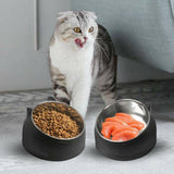 Darrahopens Pet Care > Pet Food Pet Dog Cat Food Bowl Raised No Slip Stainless Steel Tilted Water Food Feeder