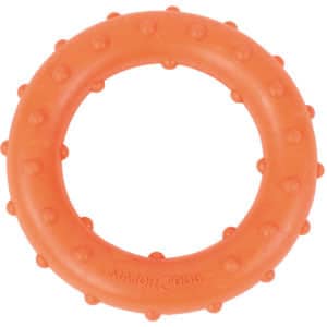 Darrahopens Pet Care > Toys Major Dog Ring Rudi Fetch Toy