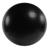 darrahopens Sports & Fitness > Fitness Accessories 75cm Static Strength Exercise Stability Ball with Pump