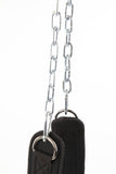 darrahopens Sports & Fitness > Fitness Accessories Dipping Dip Weight Lifting Belt