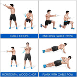 Darrahopens Sports & Fitness > Fitness Accessories LAT D Bar D Pull Down Handle Row Handle Cable Machine Attachment